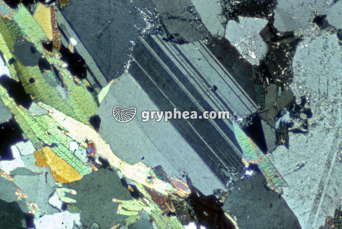 Feldspath plagioclase LPA x20 - gryphea.com